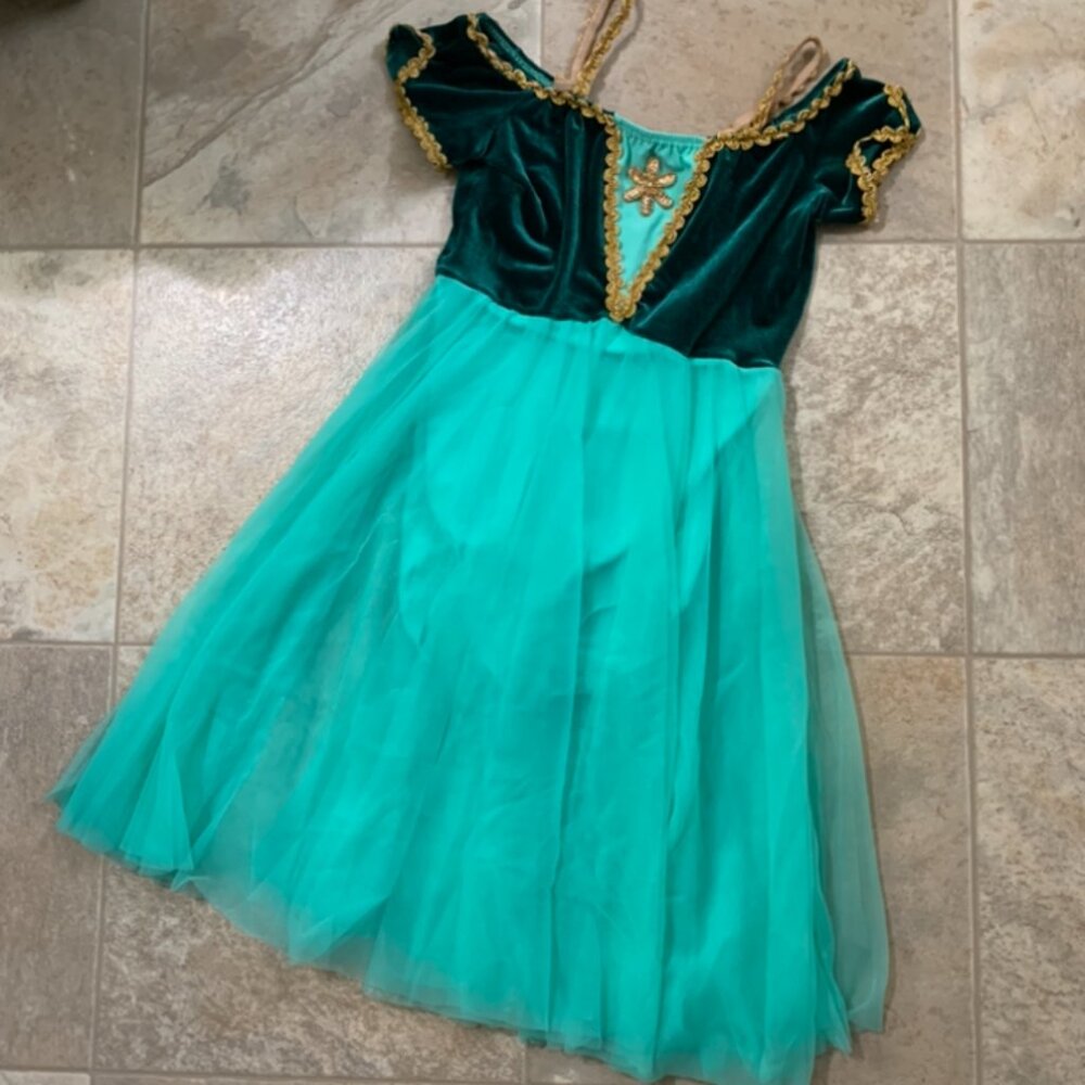 costume dress / dance dress up costume dress leotard